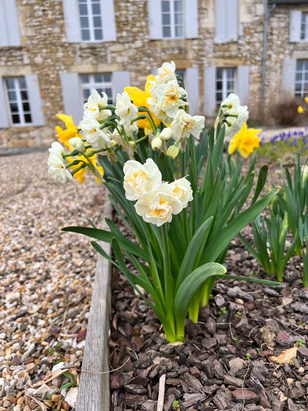Un air de Printemps